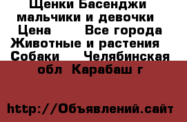 Щенки Басенджи ,мальчики и девочки › Цена ­ 1 - Все города Животные и растения » Собаки   . Челябинская обл.,Карабаш г.